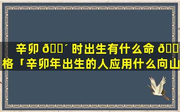辛卯 🌴 时出生有什么命 🐳 格「辛卯年出生的人应用什么向山」